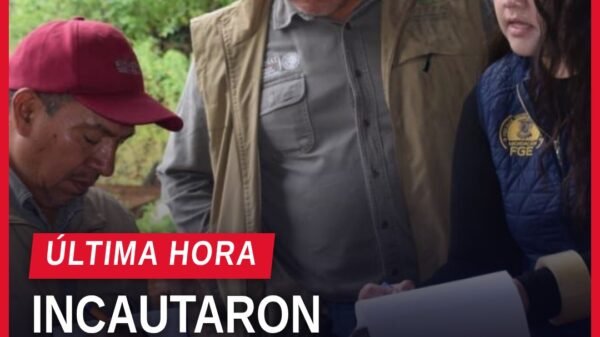 Equipos incautados en El Capulín, Madero: cortadoras, sierras cinta, cabeceadora y vehículos pesados tras cateos de la FGE