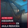 Mono araña en jaula pequeña dentro de inmueble en Uruapan, Michoacán, durante operativo de la Fiscalía Michoacán