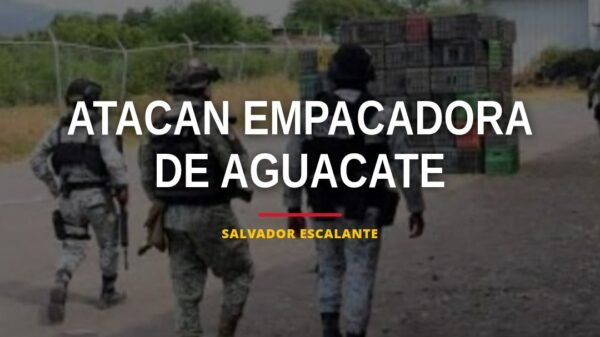 Imagen representativa de una empacadora de aguacate en Michoacán tras el ataque empacadora aguacate