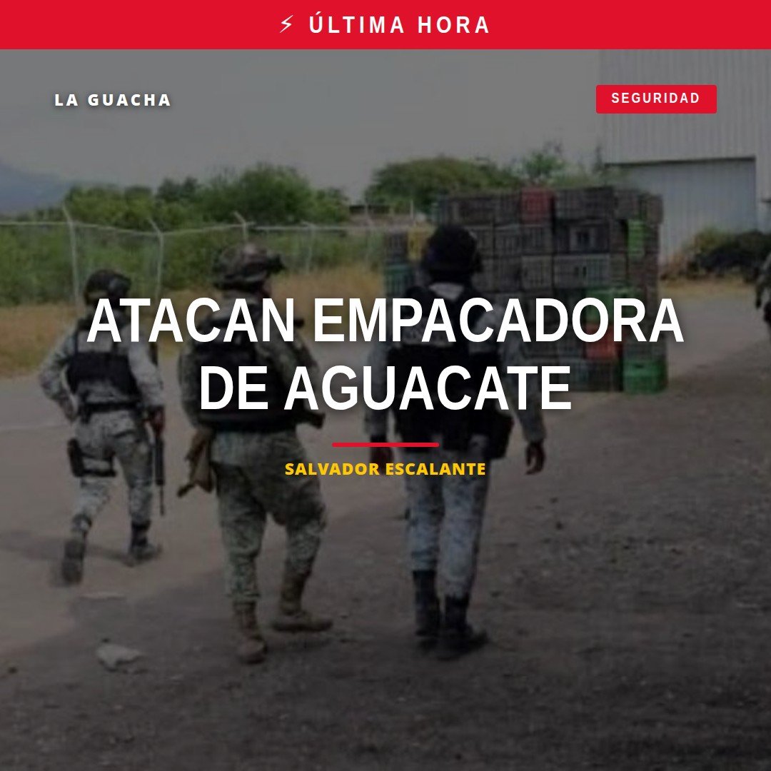 Imagen representativa de una empacadora de aguacate en Michoacán tras el ataque empacadora aguacate