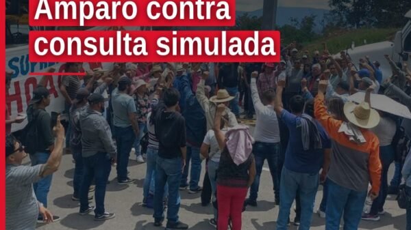 Grupo de autoridades tradicionales michoacanas firmando documento de amparo contra consulta simulada del INPI
