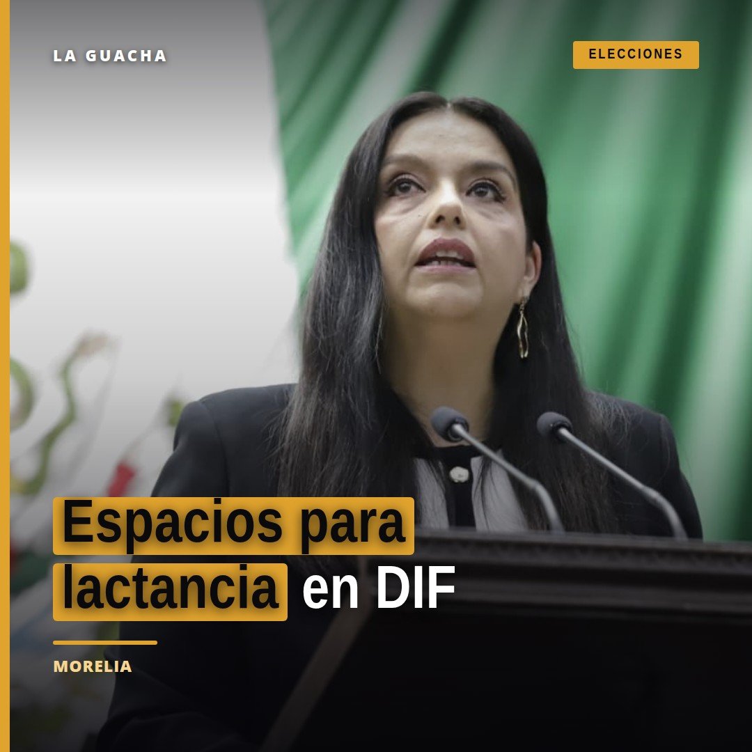 Fotografía de la diputada Teresita Herrera Maldonado presentando una iniciativa sobre espacios para lactancia en el Congreso