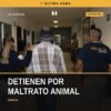 maltrato animal capula: ilustración simbólica de un dóberman negro en un entorno rural con señal de alerta veterinaria