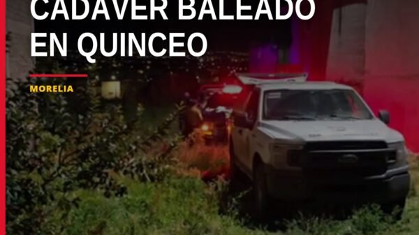 cadáver baleado quinceo: vista exterior de un lote baldío en la colonia Quinceo, Morelia, con presencia de autoridades y