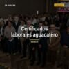 Entrega simbólica de certificados laborales para trabajadores del sector aguacatero en Morelia, Michoacán