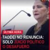Retrato oficial de Guadalupe Taddei Zavala, consejera presidenta del INE, con fondo neutro y logo del instituto