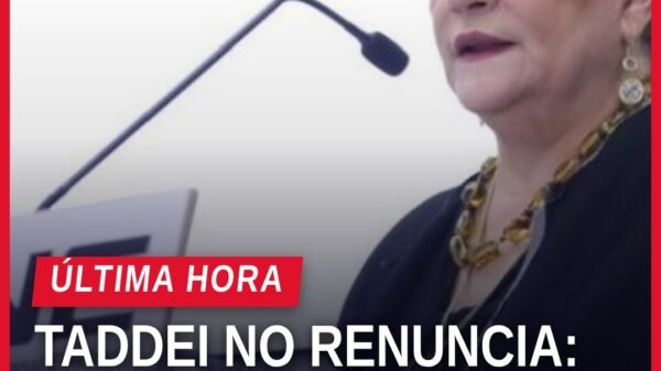 Retrato oficial de Guadalupe Taddei Zavala, consejera presidenta del INE, con fondo neutro y logo del instituto