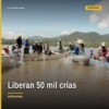Liberación de crías de pez blanco en el lago de Pátzcuaro, con personal de Compesca y autoridades presentes