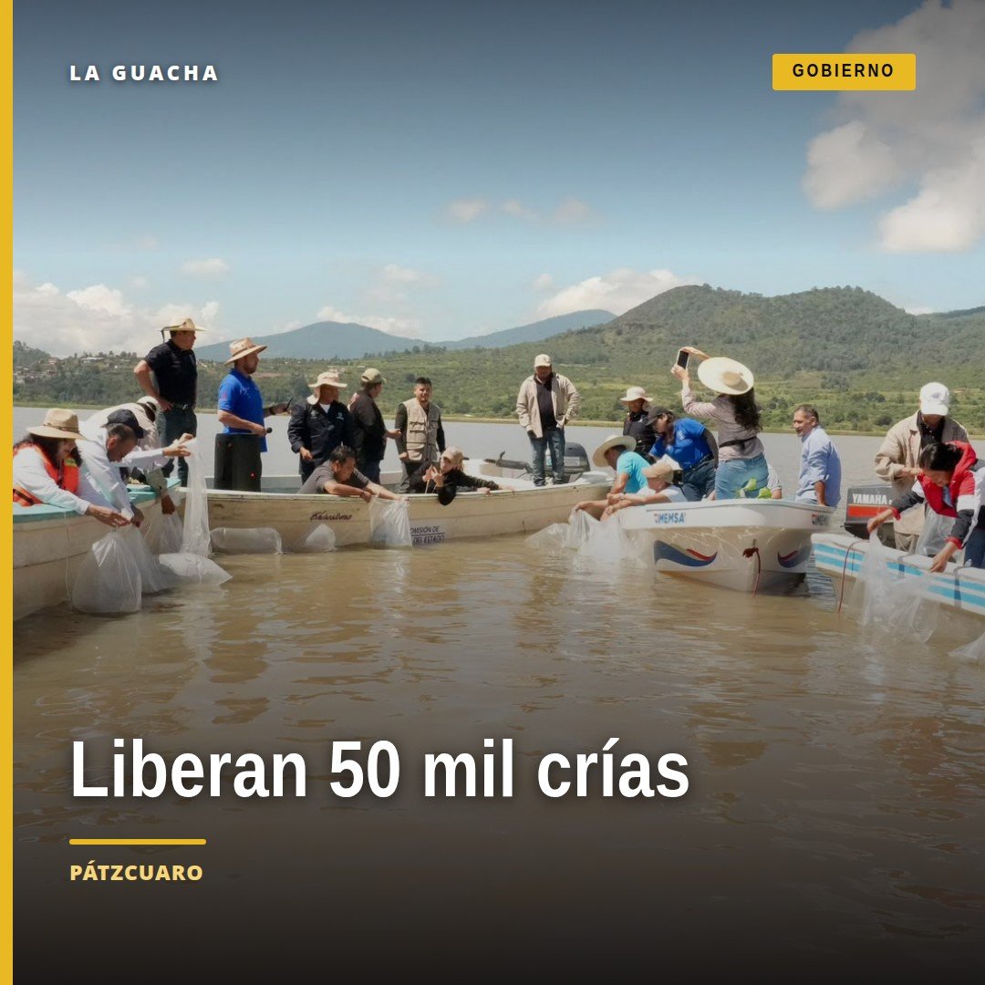 Liberación de crías de pez blanco en el lago de Pátzcuaro, con personal de Compesca y autoridades presentes