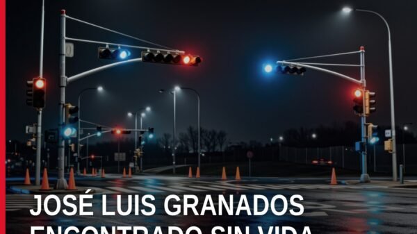 Ilustración simbólica de una silueta humana junto a un cerro con señal de búsqueda; texto 'familiares de josé luis granados'