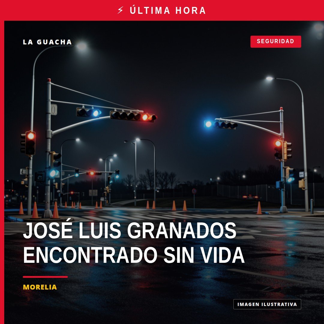 Ilustración simbólica de una silueta humana junto a un cerro con señal de búsqueda; texto 'familiares de josé luis granados'