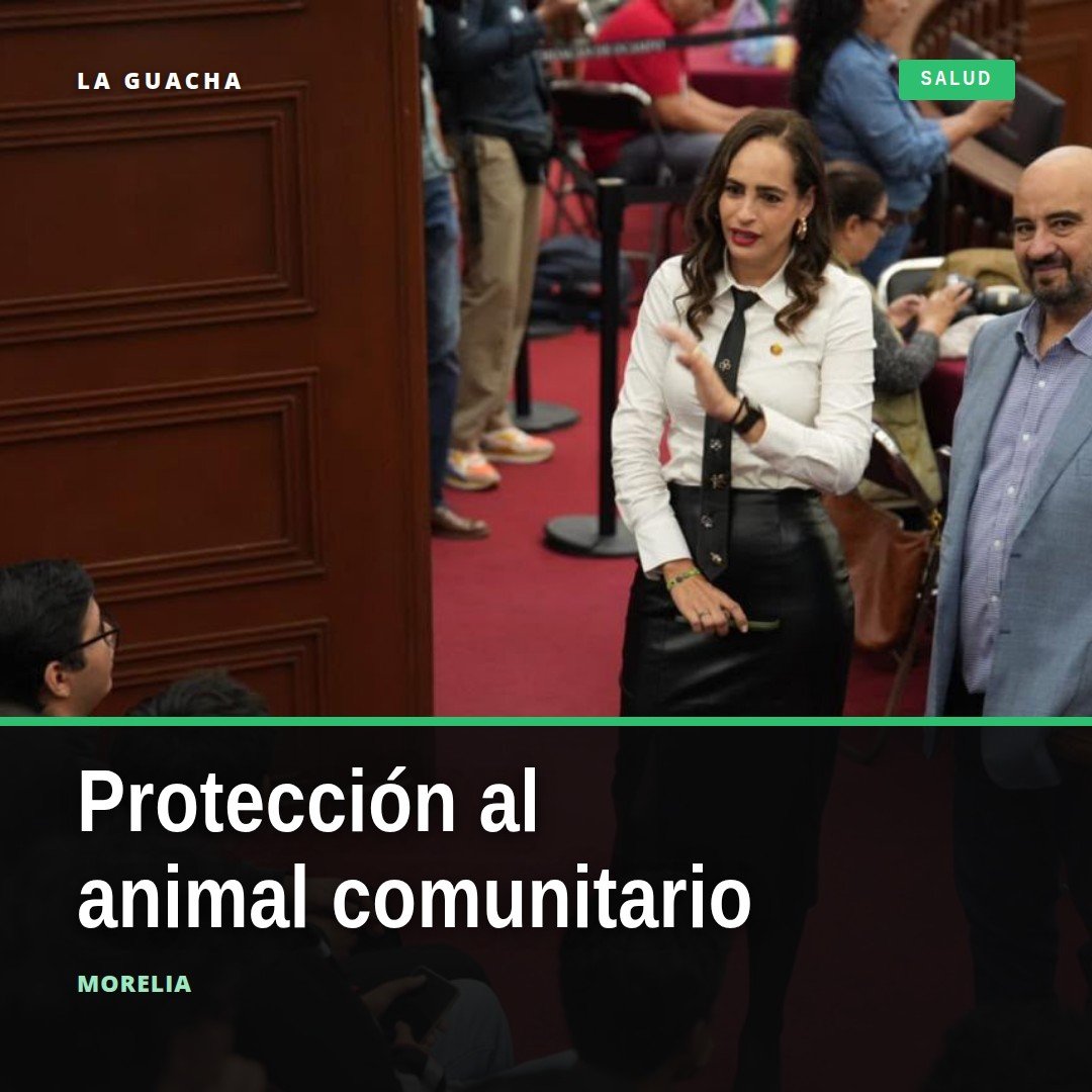 Diputada Sandra Arreola Ruiz presentando iniciativa sobre animal comunitario michoacán en el Congreso del Estado en Morelia