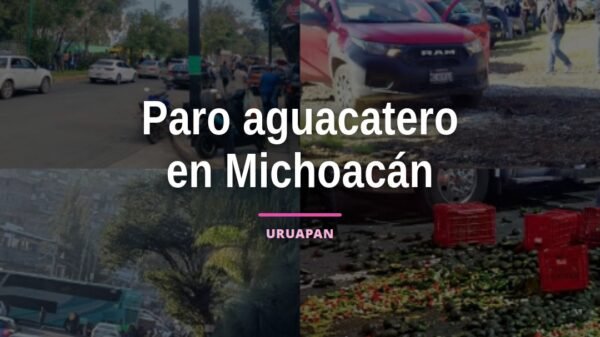 Paro aguacatero michoacán: manifestantes con banderas y vehículos detenidos en carretera cerca de Uruapan