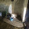 rescate de perros uruapan: dos perros —uno blanco atado en cochera, otro negro en interior— rescatados por la Fiscalía