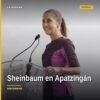 Claudia Sheinbaum hablando ante una multitud en Apatzingán, Michoacán, con banderas mexicanas al fondo, destacando la
