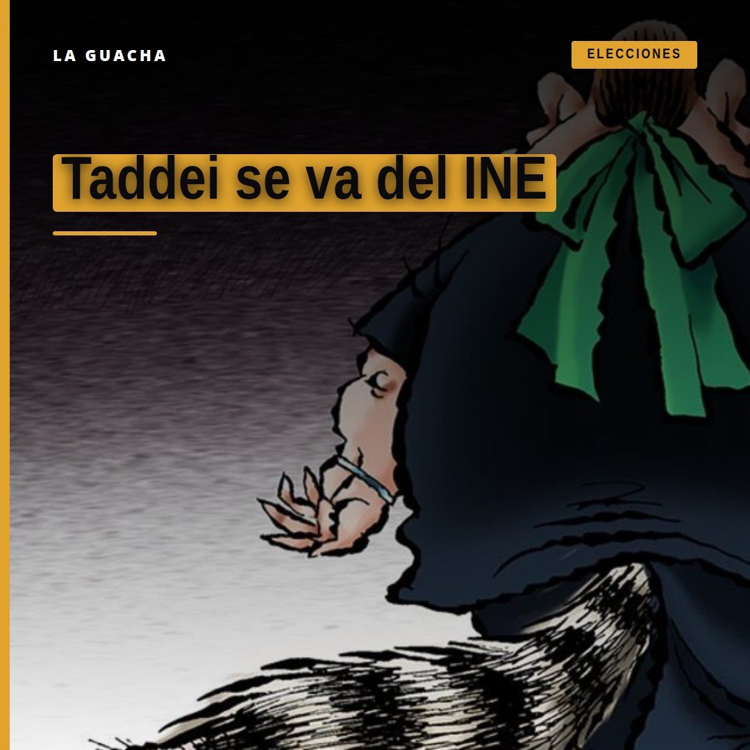 Retrato oficial de Lorenzo Córdoba Taddei y Arturo Manuel Chávez López junto al logo del Instituto Nacional Electoral (INE)