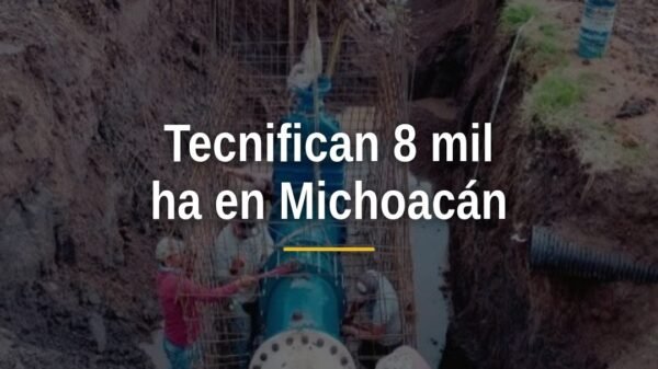 Infraestructura de riego tecnificada en campos de Michoacán, con sistemas de riego por goteo y canales rehabilitados