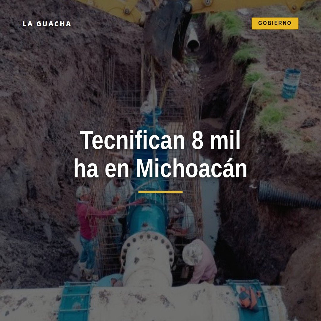 Infraestructura de riego tecnificada en campos de Michoacán, con sistemas de riego por goteo y canales rehabilitados