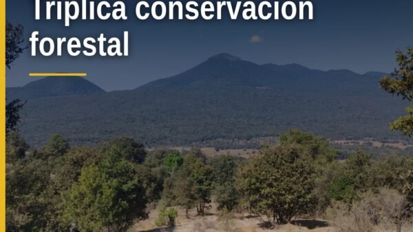 Mapa de Michoacán con zonas coloreadas que representan las 212 mil 909 hectáreas de conservación forestal michoacán
