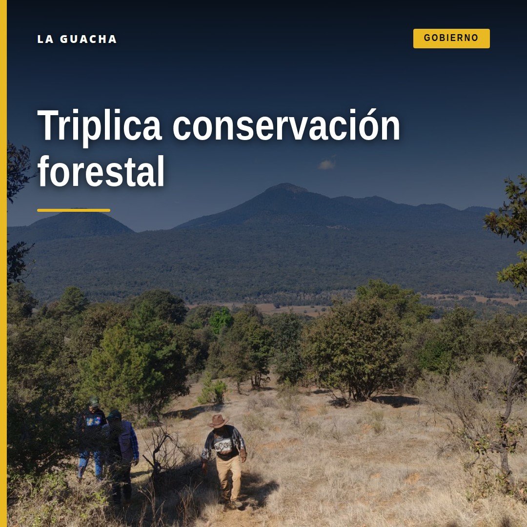 Mapa de Michoacán con zonas coloreadas que representan las 212 mil 909 hectáreas de conservación forestal michoacán